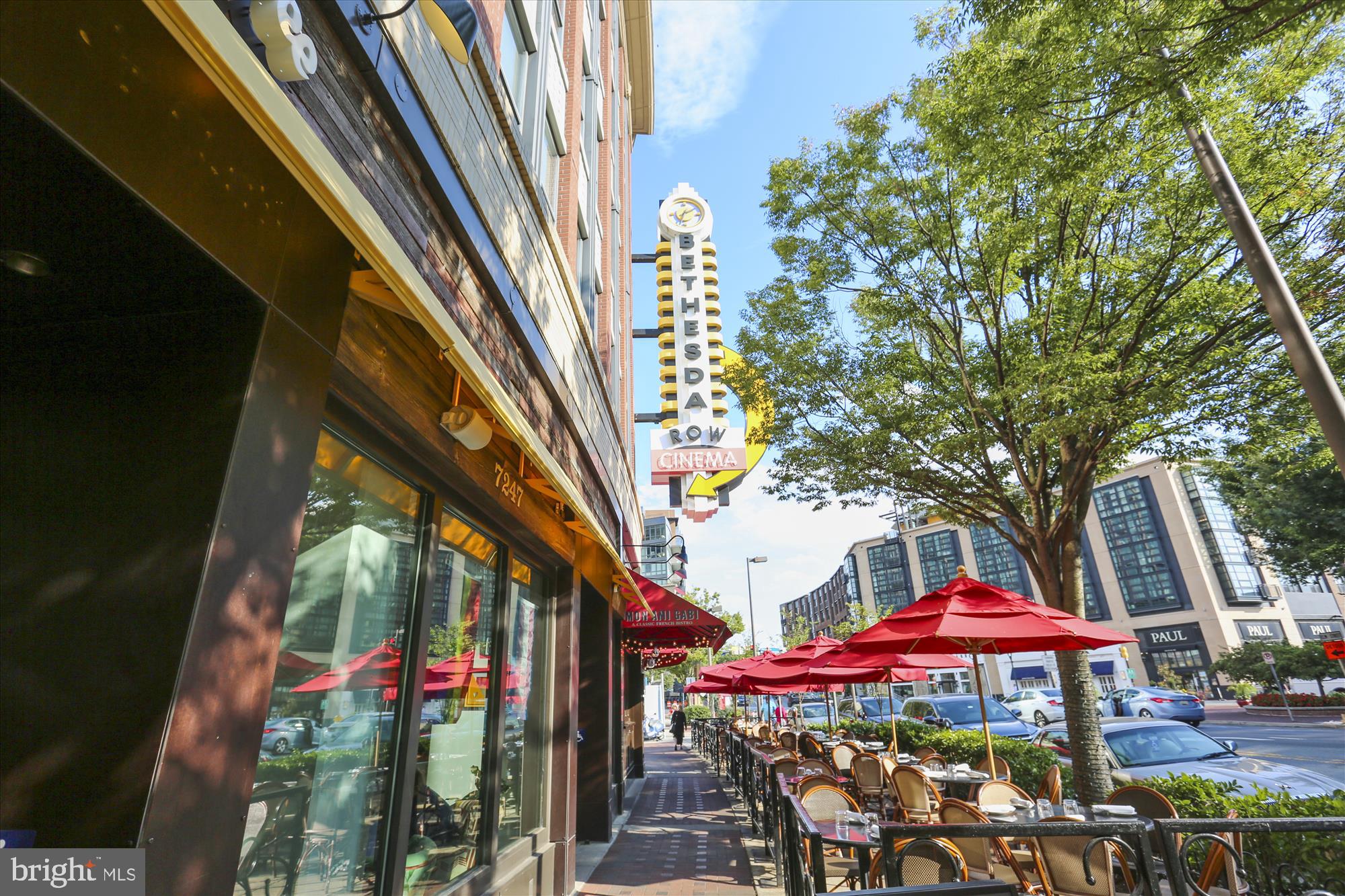 3909 Woodlawn Road Chevy Chase, MD 20815 - Photo 48 of 54 a outdoor space with lots of trees