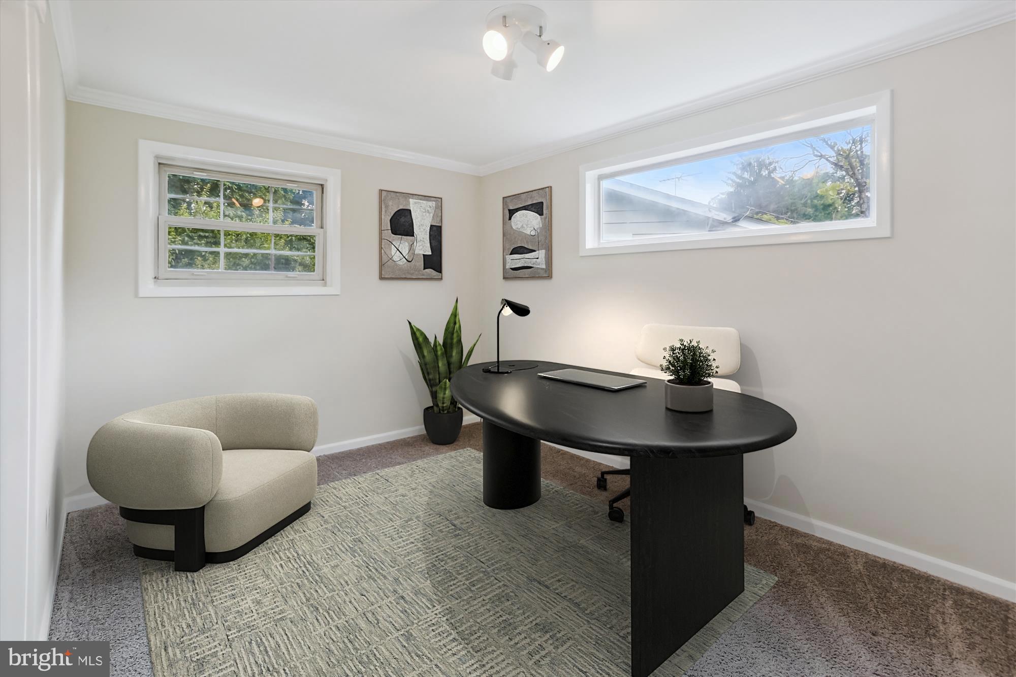 3909 Woodlawn Road Chevy Chase, MD 20815 - Photo 8 of 54 a living room with furniture and a potted plant