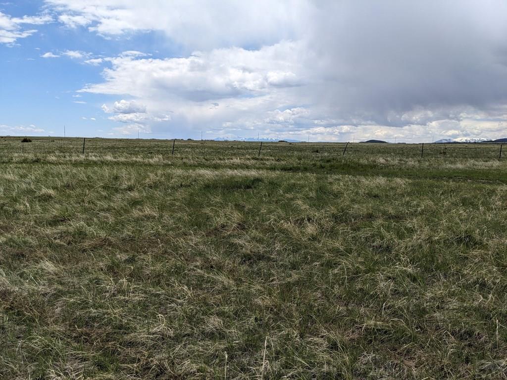 Tbd Honeywell Drive Rye, CO 81069 - Photo 8 of 16