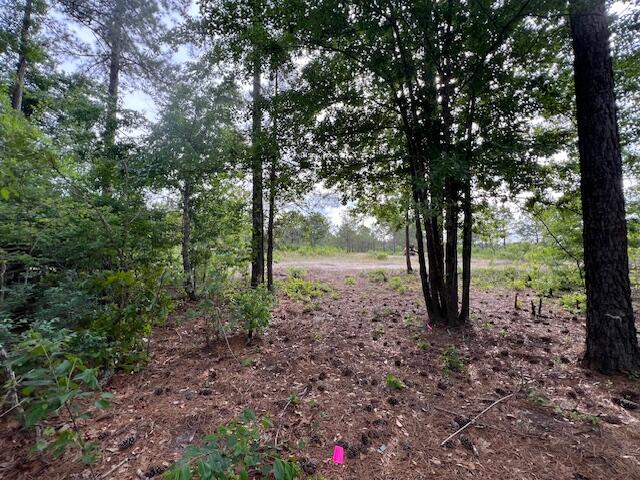 4 Fox Young Road, Unit FYF 4 Wagener, SC 29164 - Photo 6 of 13