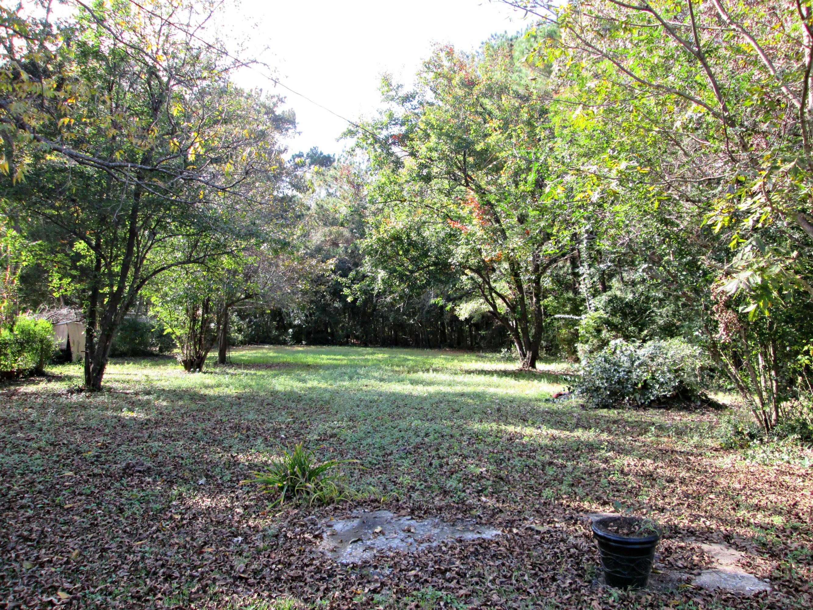 758 Main Road Johns Island, SC 29455 - Photo 19 of 20 Backyard