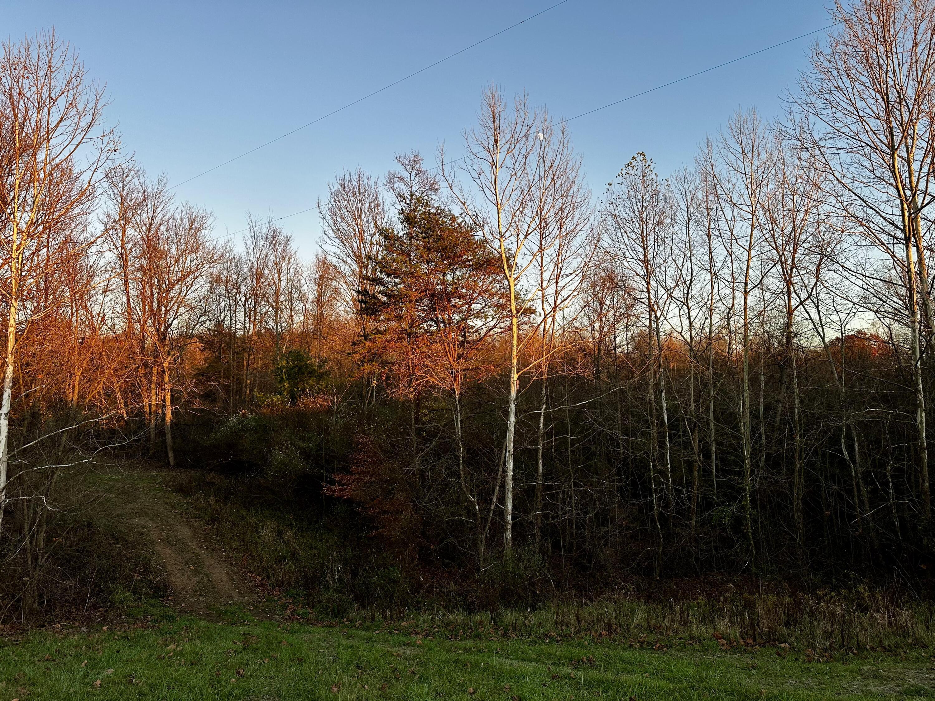 7408 Dutch Ridge Road, Unit TRACT 3 AT DUTCH RIDGE) New Straitsville, OH 43766 - Photo 25 of 29 20241111_220239273_iOS