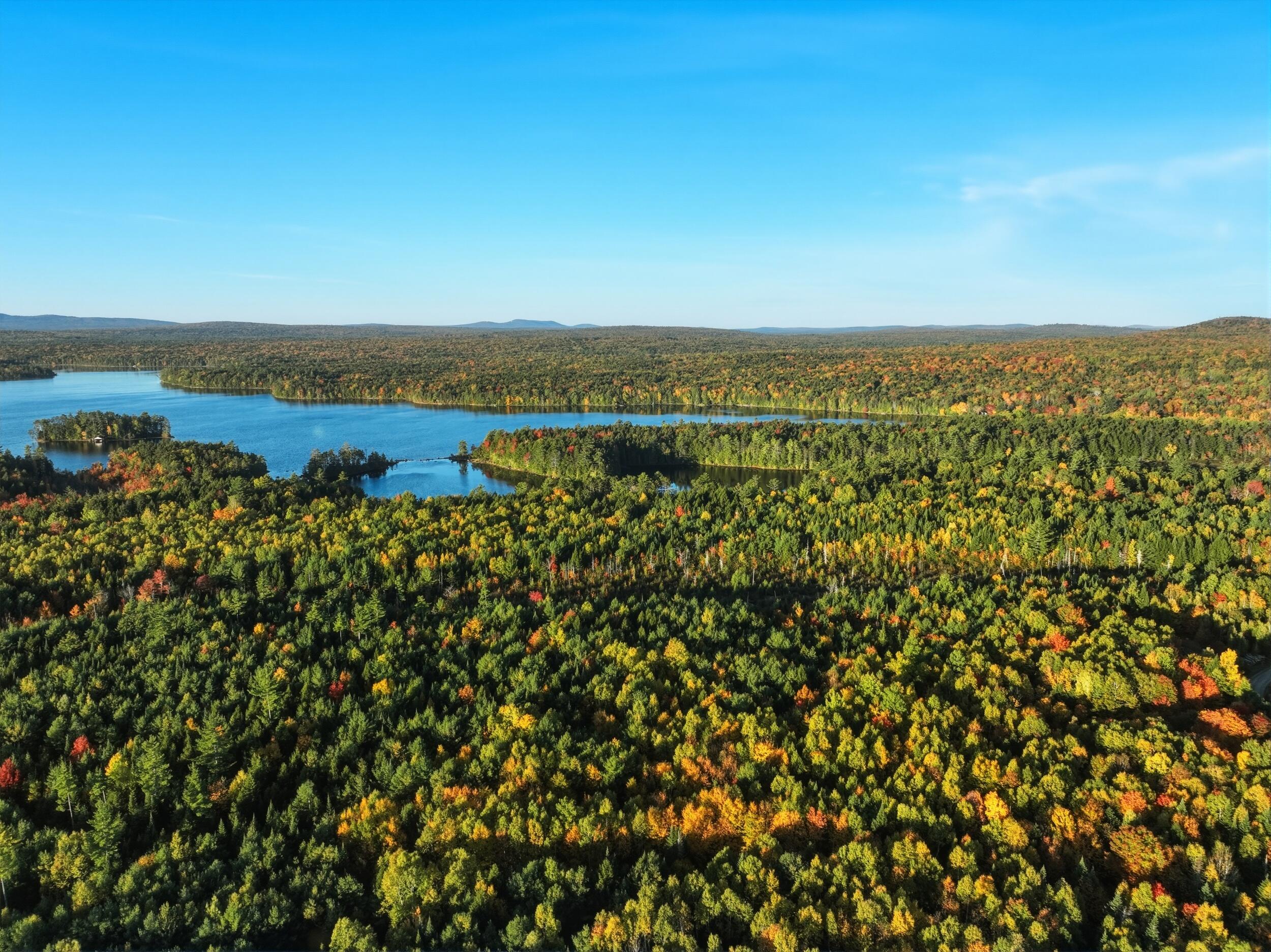 Lot 3 East Shore Road Lakeville, ME 04487 - Photo 8 of 59 e shore rd, lakeville, me 04487 - dji_09