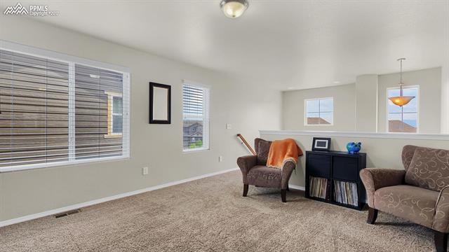1634 Smokey Ridge Way Colorado Springs, CO 80921 - Photo 21 of 34