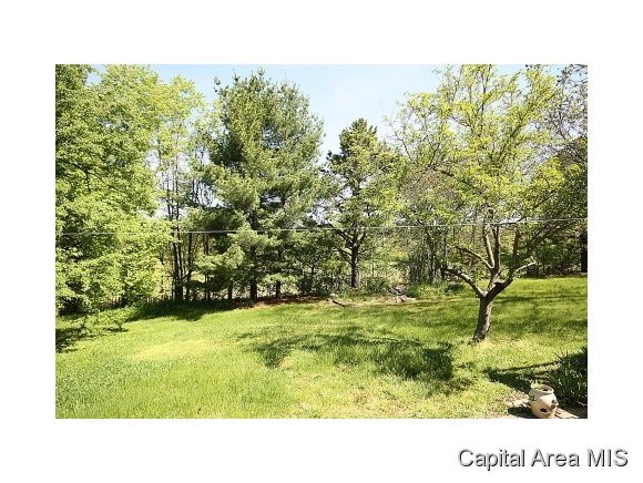 5591 Mechanicsburg Road Springfield, IL 62712 - Photo 4 of 19