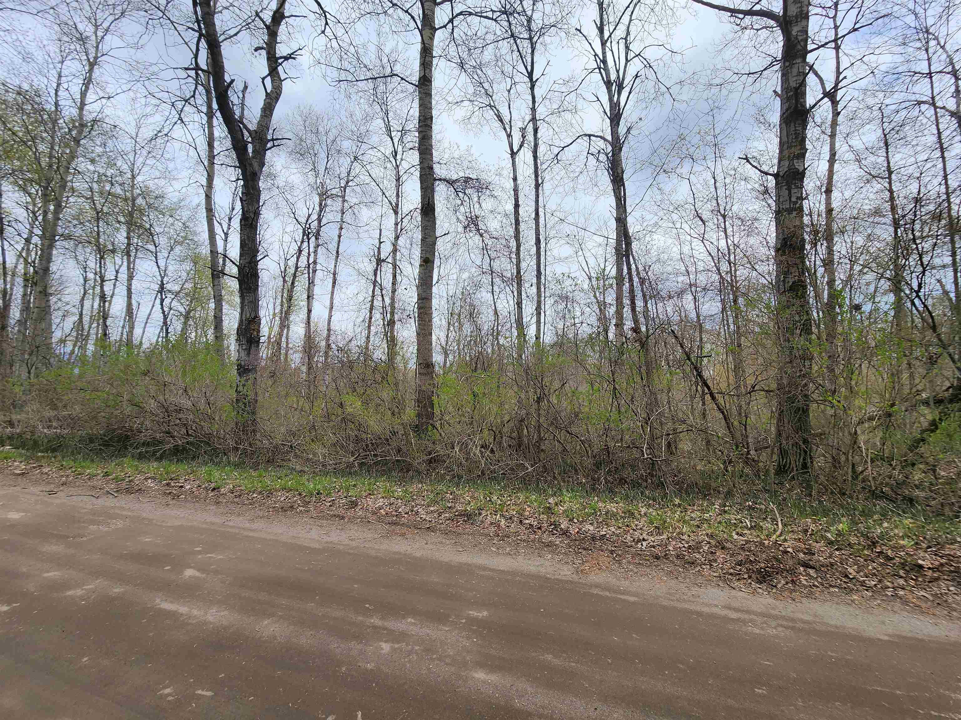 0 River Road Omer, MI 48749 - Photo 8 of 10