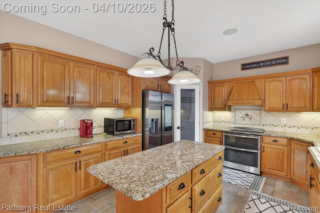 10863 Judd Road Fowlerville, MI 48836 - Photo 11 of 70