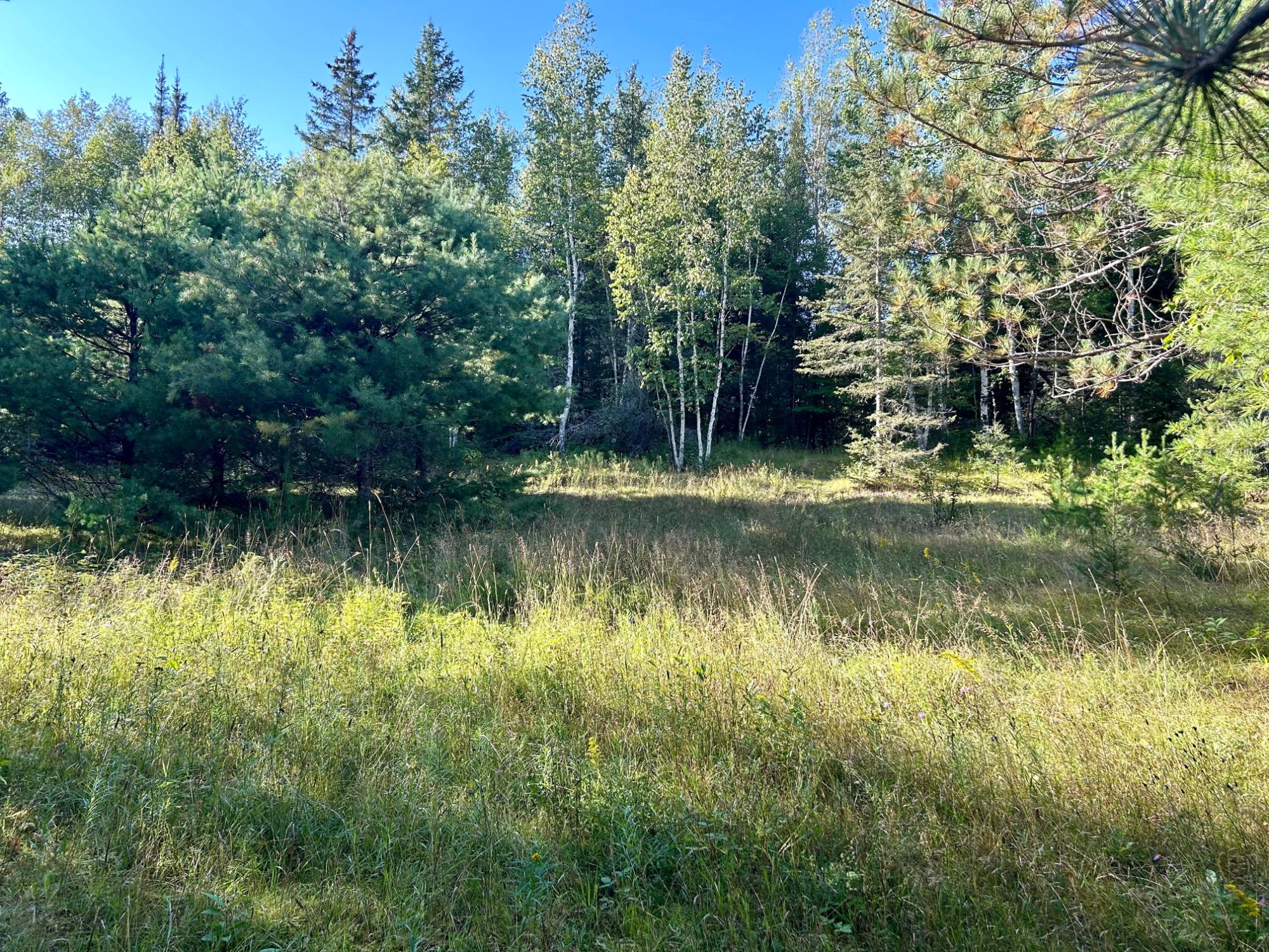 4808 Alderton Road Laona, WI 54541 - Photo 11 of 14 Gallery Image 11