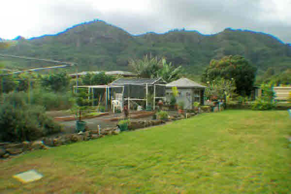 2390 Hulemalu Road Lihue, HI 96766 - Photo 3 of 24 Gallery Image 3