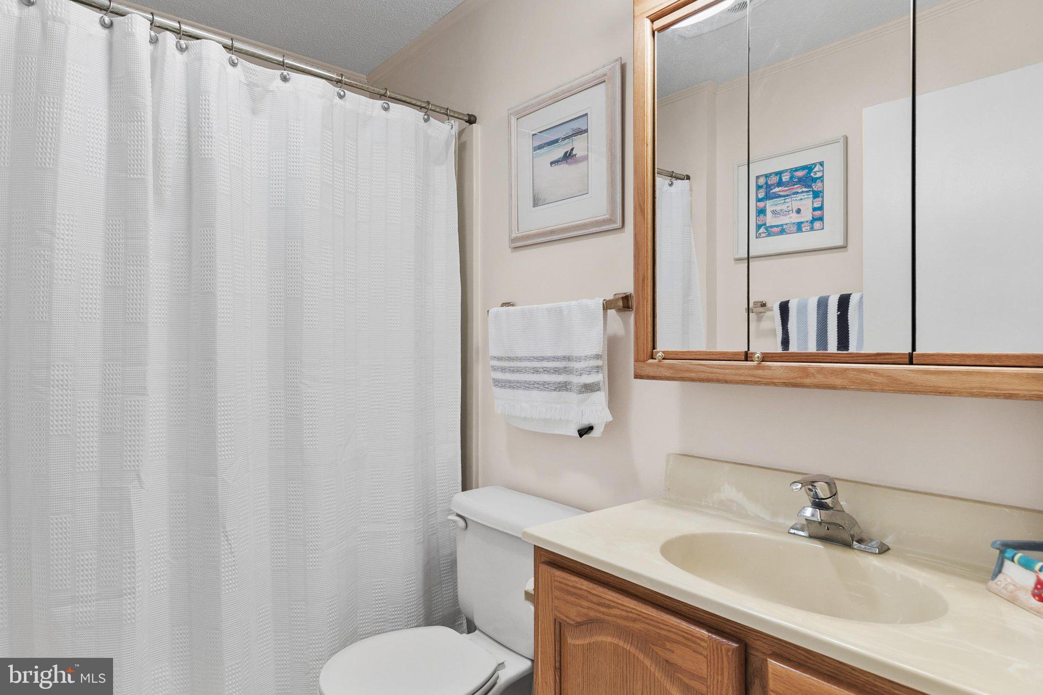 181 Jamestown Road, Unit 5 Ocean City, MD 21842 - Photo 35 of 64 Hall Bathroom