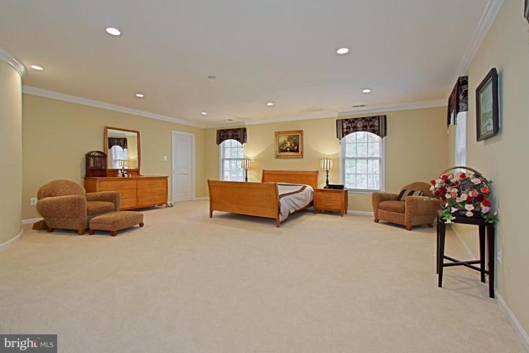 12000 Aintree Lane Reston, VA 20191 - Photo 16 of 30 Master Suite
