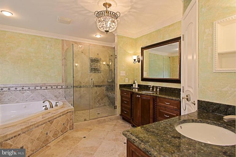 12000 Aintree Lane Reston, VA 20191 - Photo 18 of 30 Master Spa Bath