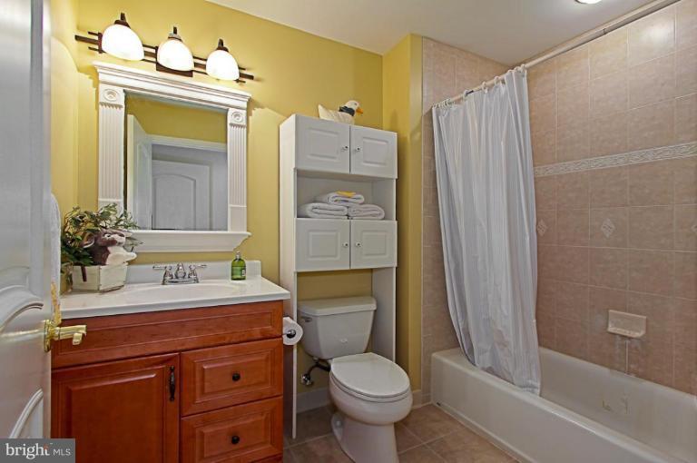 12000 Aintree Lane Reston, VA 20191 - Photo 25 of 30 Bathroom 4 of 5