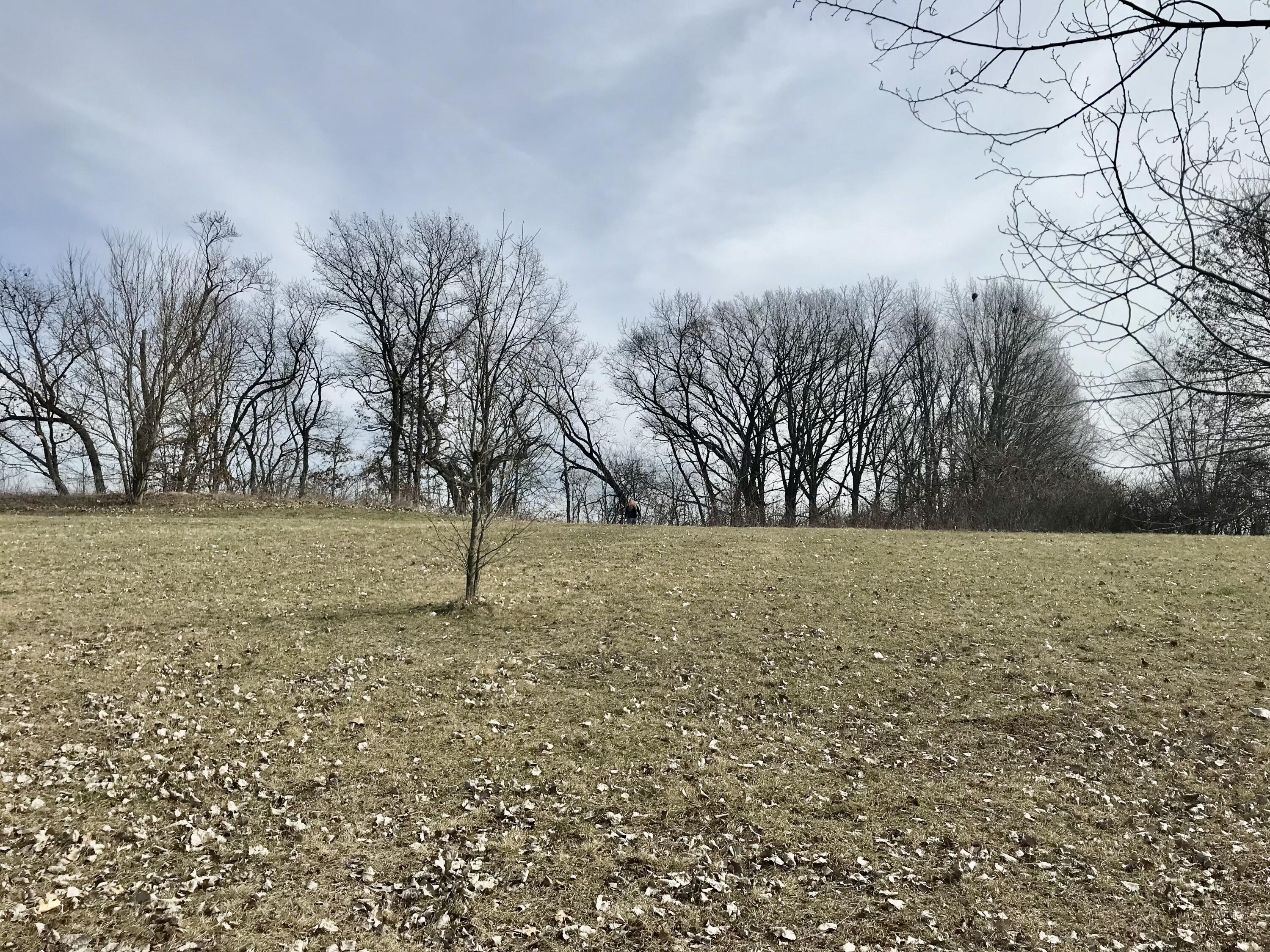 Lot 19 Sevison Road White Pigeon, MI 49099 - Photo 5 of 8 3E91DA6B-AB15-4432-963D-2D9B54A1BE8B