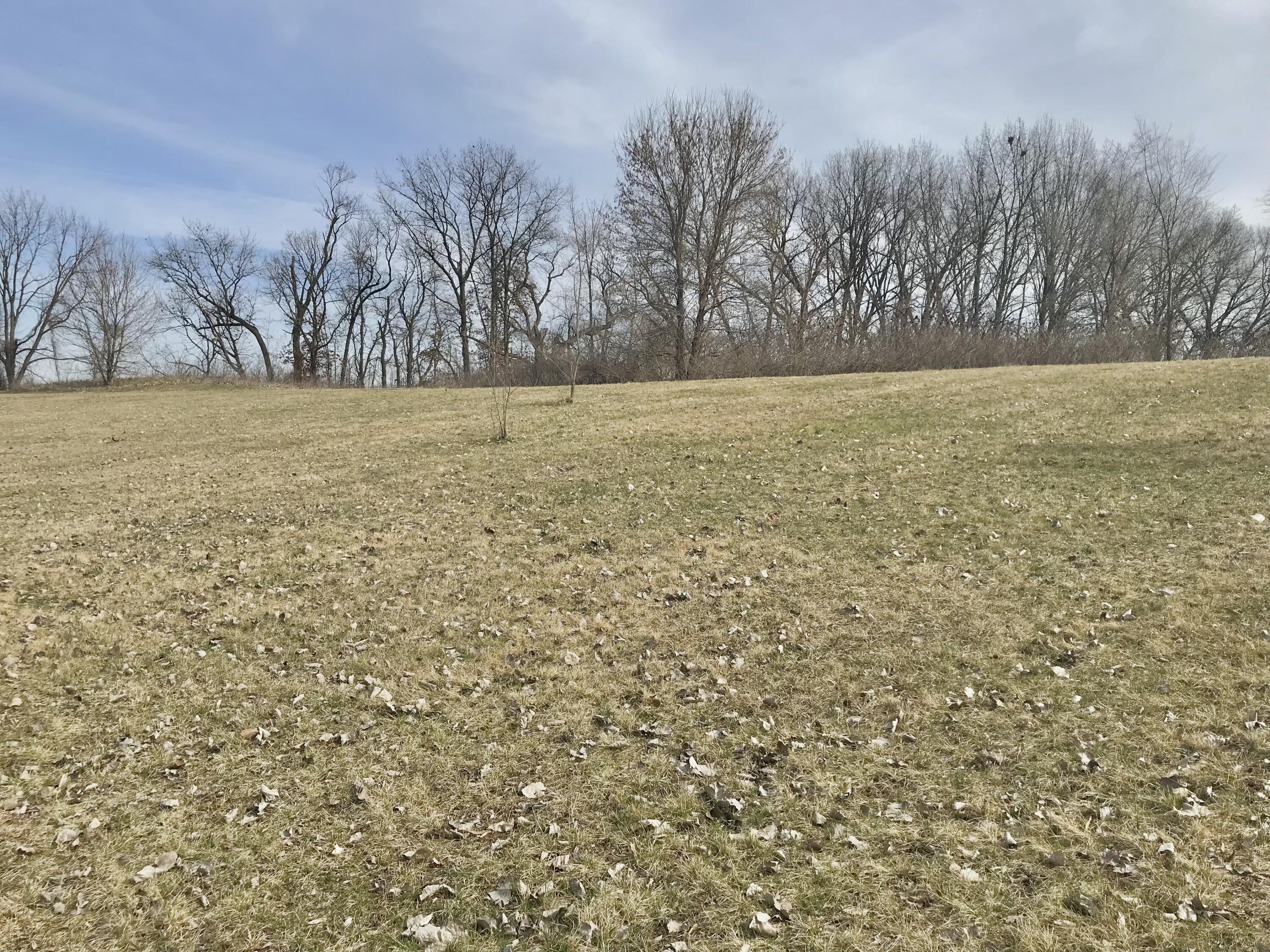 Lot 19 Sevison Road White Pigeon, MI 49099 - Photo 6 of 8 7A60F393-1255-4F5A-96A0-B04B4920210E