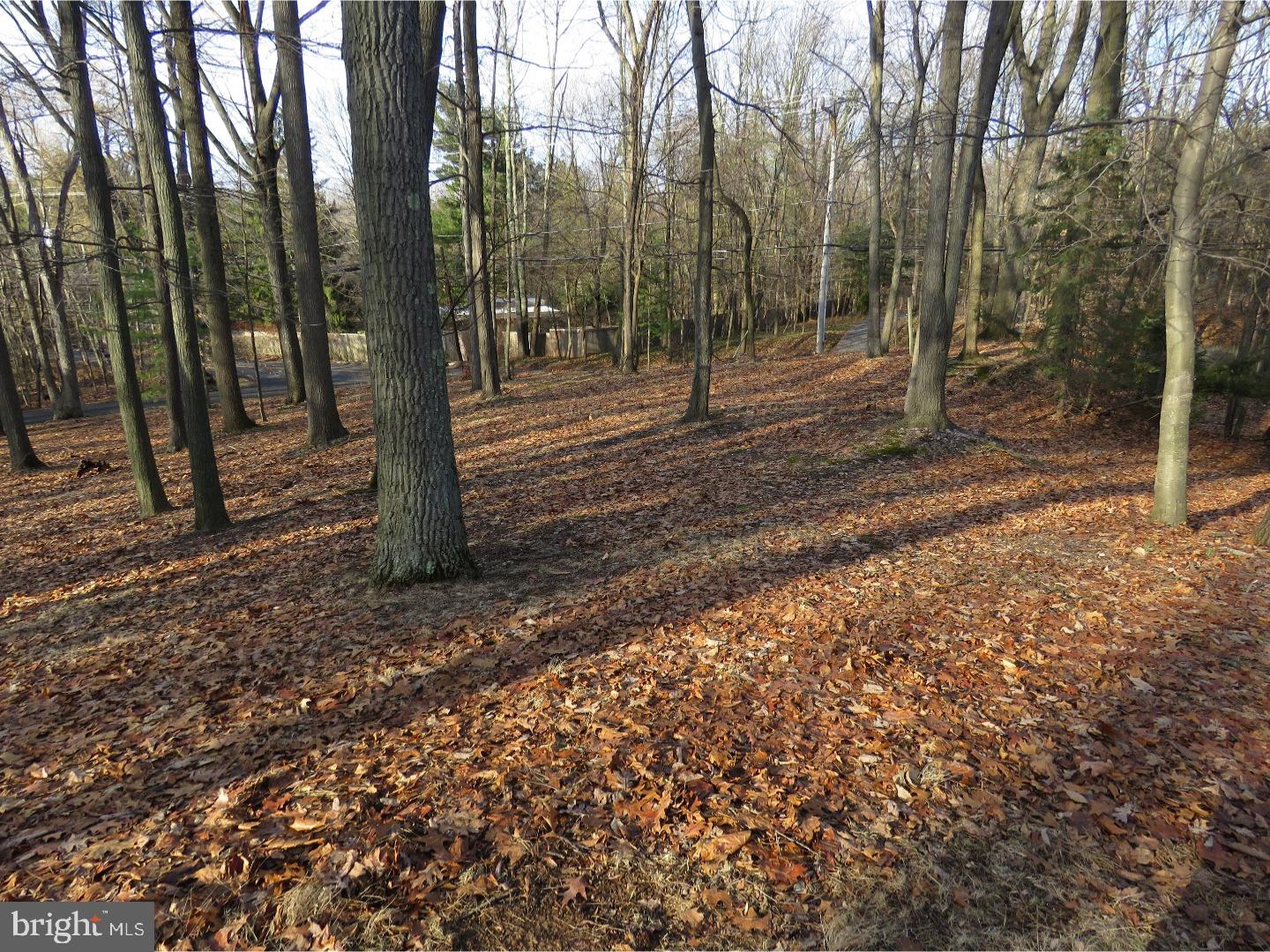 5855 Private Road Doylestown, PA 18902 - Photo 23 of 24 Gallery Image 23
