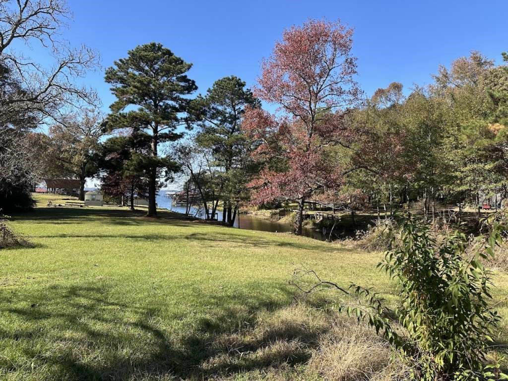 20394 Lakeshore Drive Flint, TX 75762 - Photo 3 of 9