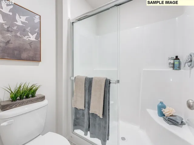 a bathroom with a shower and a toilet