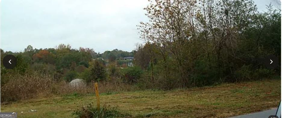 0 Dixie Red Avenue Jefferson, GA 30549 - Photo 3 of 4