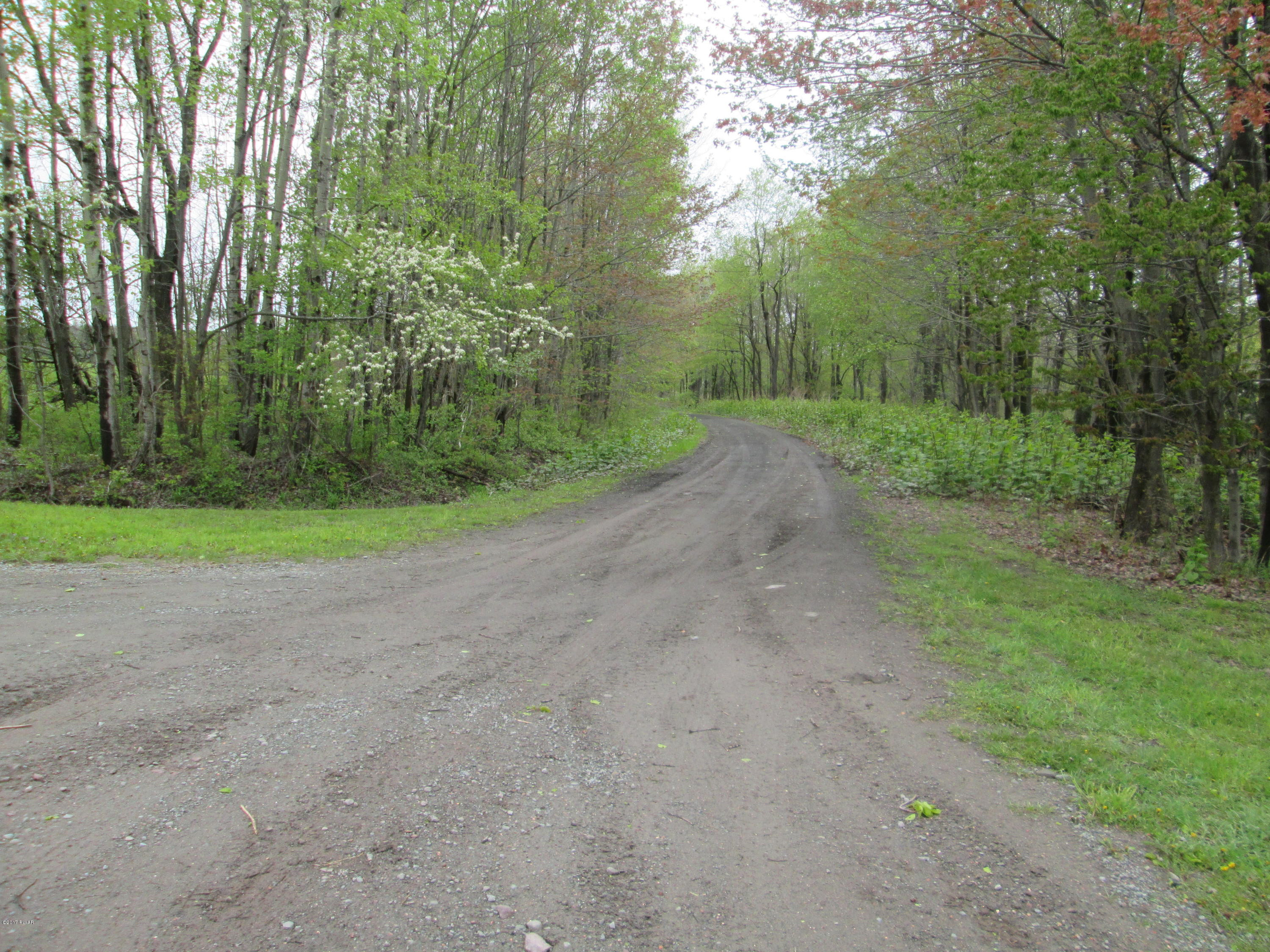 86 Beaver Hollow Road Lakewood, PA 18439 - Photo 17 of 30 a view of a road with trees in the background