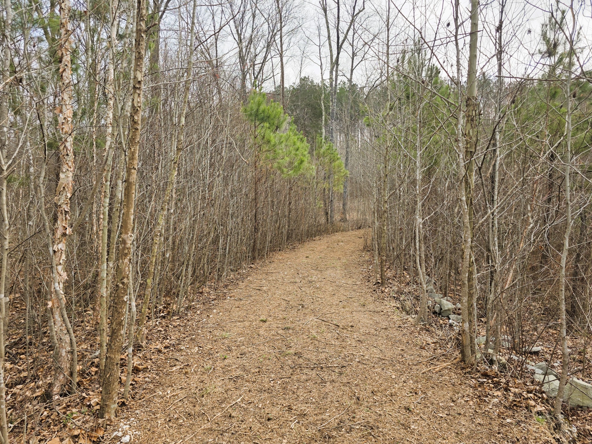 0 Birdsong Road Holladay, TN 38341 - Photo 64 of 70