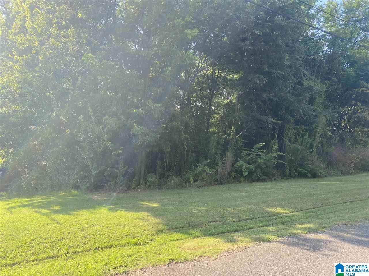 7001 Hopewell Road, Unit 1 Bessemer, AL 35022 - Photo 1 of 1