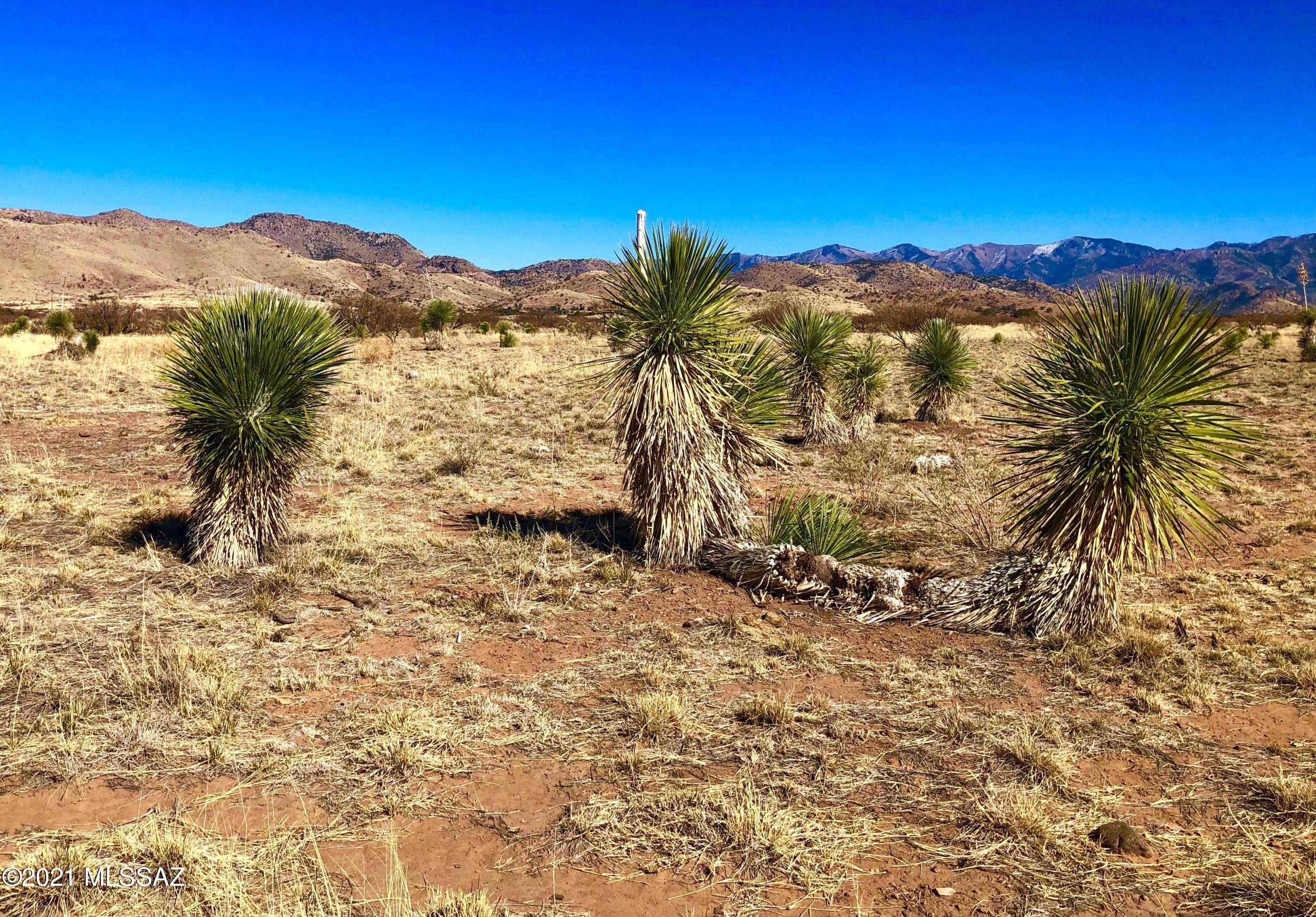 40.16 Ac Pearce, AZ 85625 - Photo 45 of 50