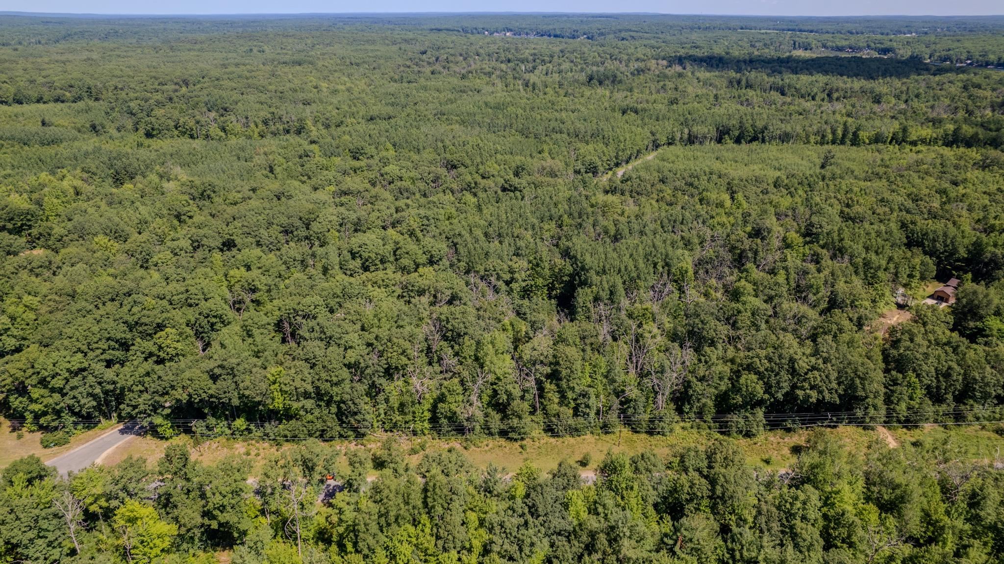 East Cranberry Lake Road Harrison, MI 48625 - Photo 3 of 10