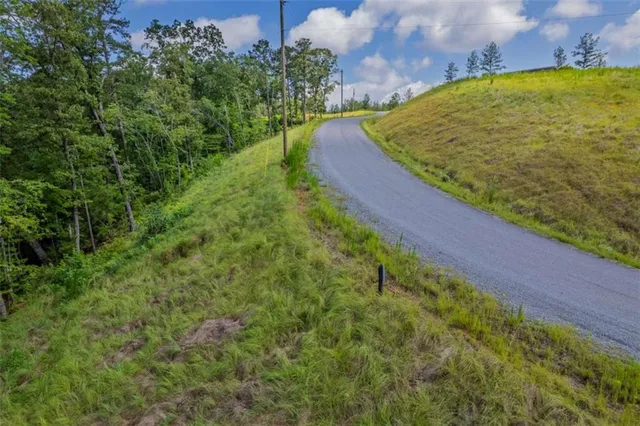 a view of a back yard of the house