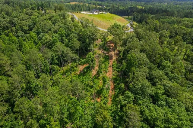 an aerial view of residential houses with outdoor space and trees