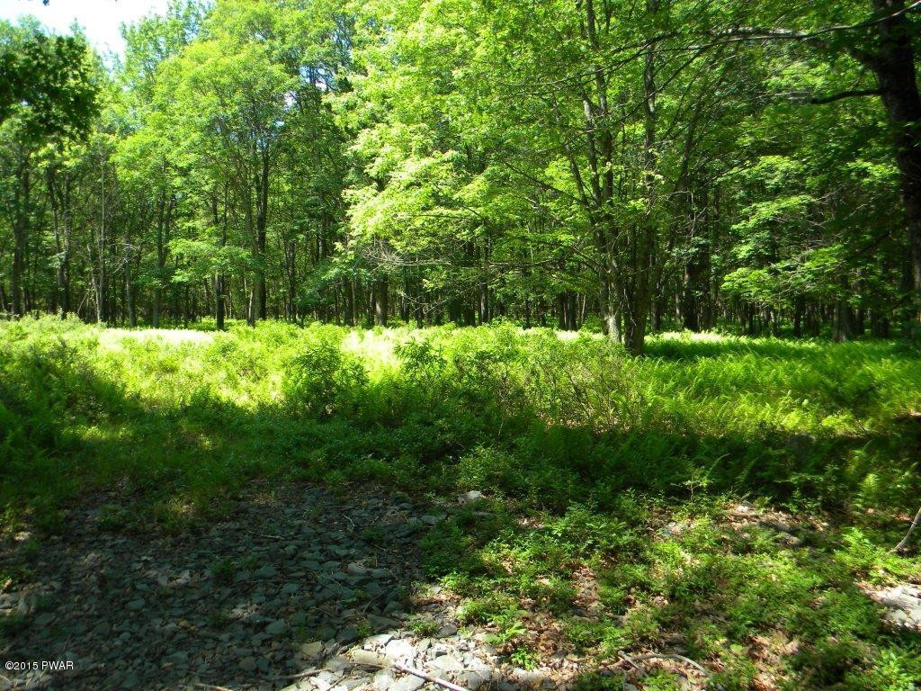 193 Deer Run Road Hawley, PA 18428 - Photo 16 of 17