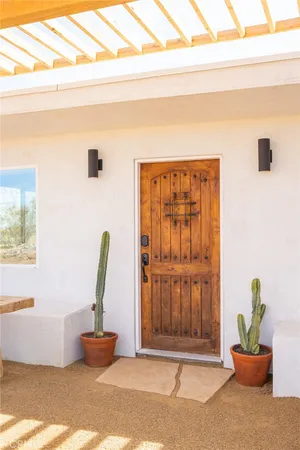 a view of a potted plant in front of a door