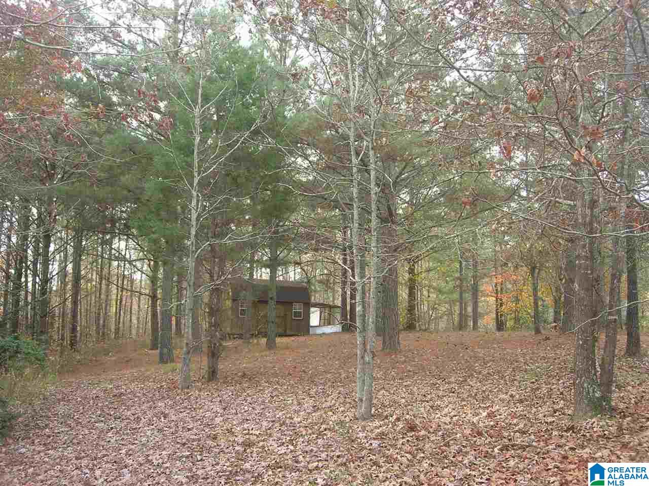 2303 Murphrees Valley Road Springville, AL 35146 - Photo 27 of 40 Gallery Image 27