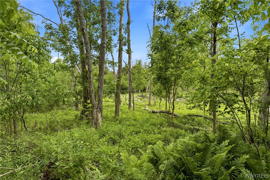 280 Bullis Road West Seneca, NY 14224 - Photo 41 of 43