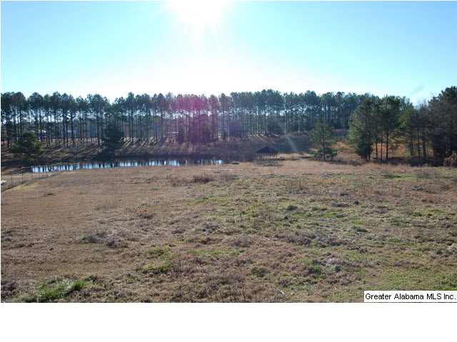 993 County Road, Unit 8/13/12 Clanton, AL 35045 - Photo 8 of 9