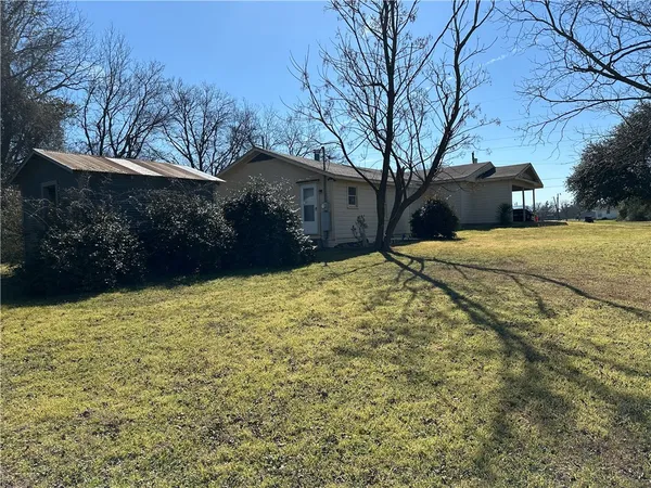 a street view with large trees