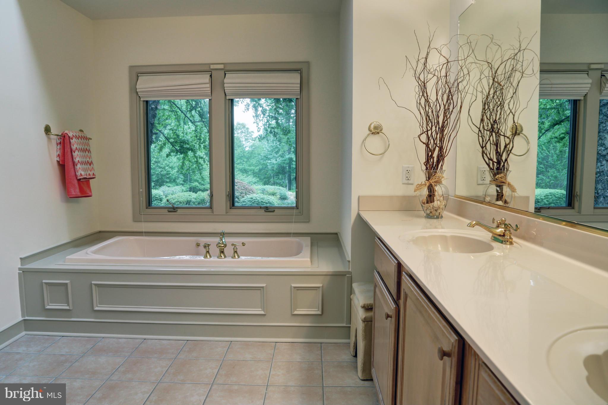 3535 Old Trail Road Edgewater, MD 21037 - Photo 16 of 28 Spa mater Bath