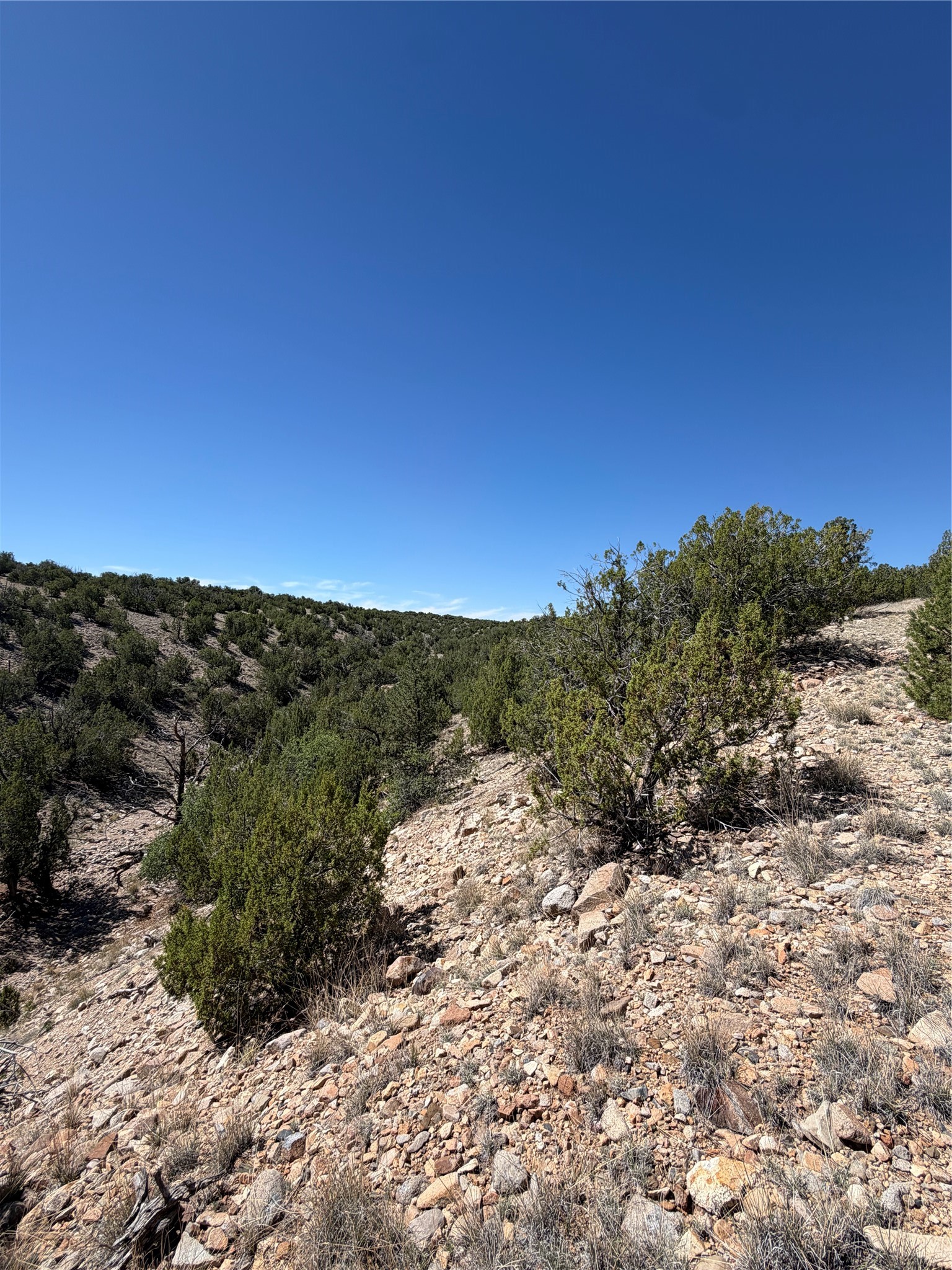 7 C Rancho De Shama, Unit B Cerrillos, NM 87010 - Photo 21 of 26