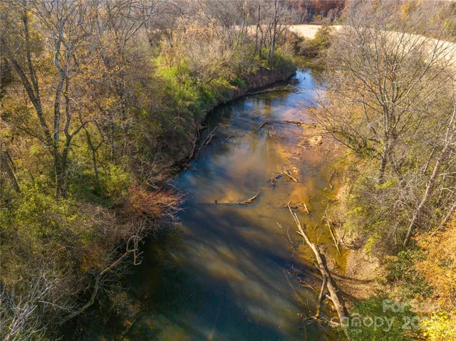 a view of a yard with plants and a bench