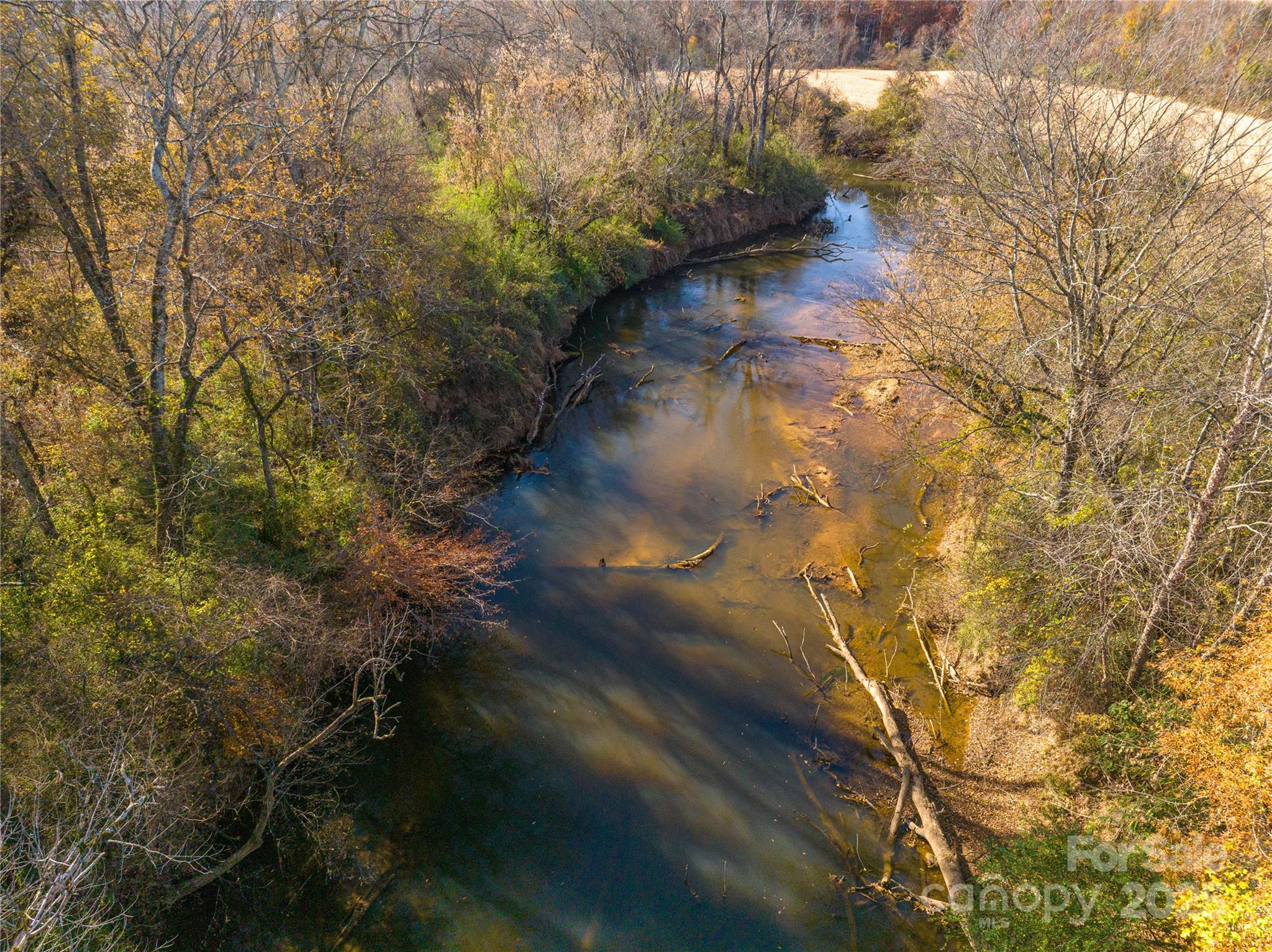 0 Rosedale Point Lincolnton, NC 28092 - Photo 15 of 40 a view of a yard with plants and a bench
