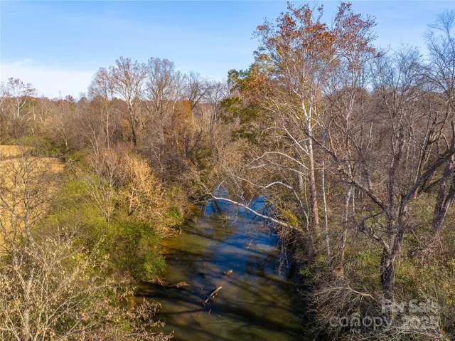 a view of a yard with plants and trees