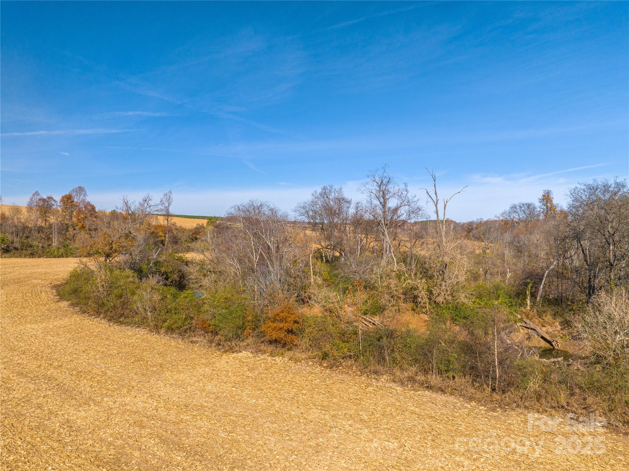 0 Rosedale Point Lincolnton, NC 28092 - Photo 25 of 40 a view of a yard