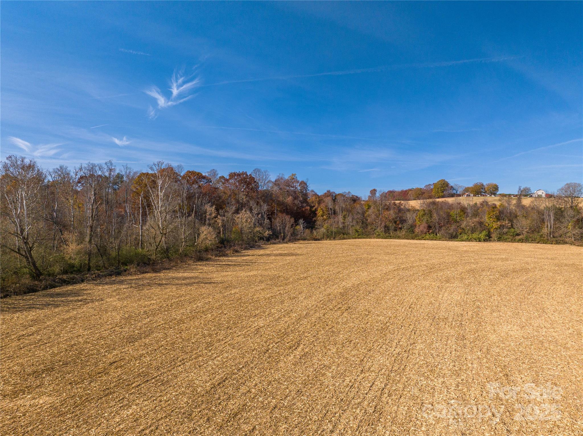 0 Rosedale Point Lincolnton, NC 28092 - Photo 26 of 40