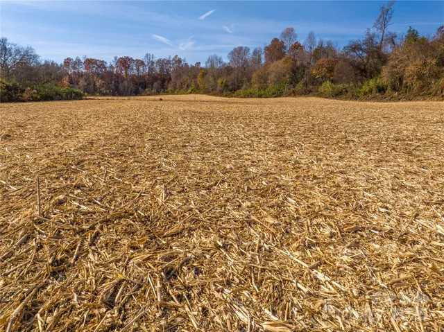 a view of an ocean and beach