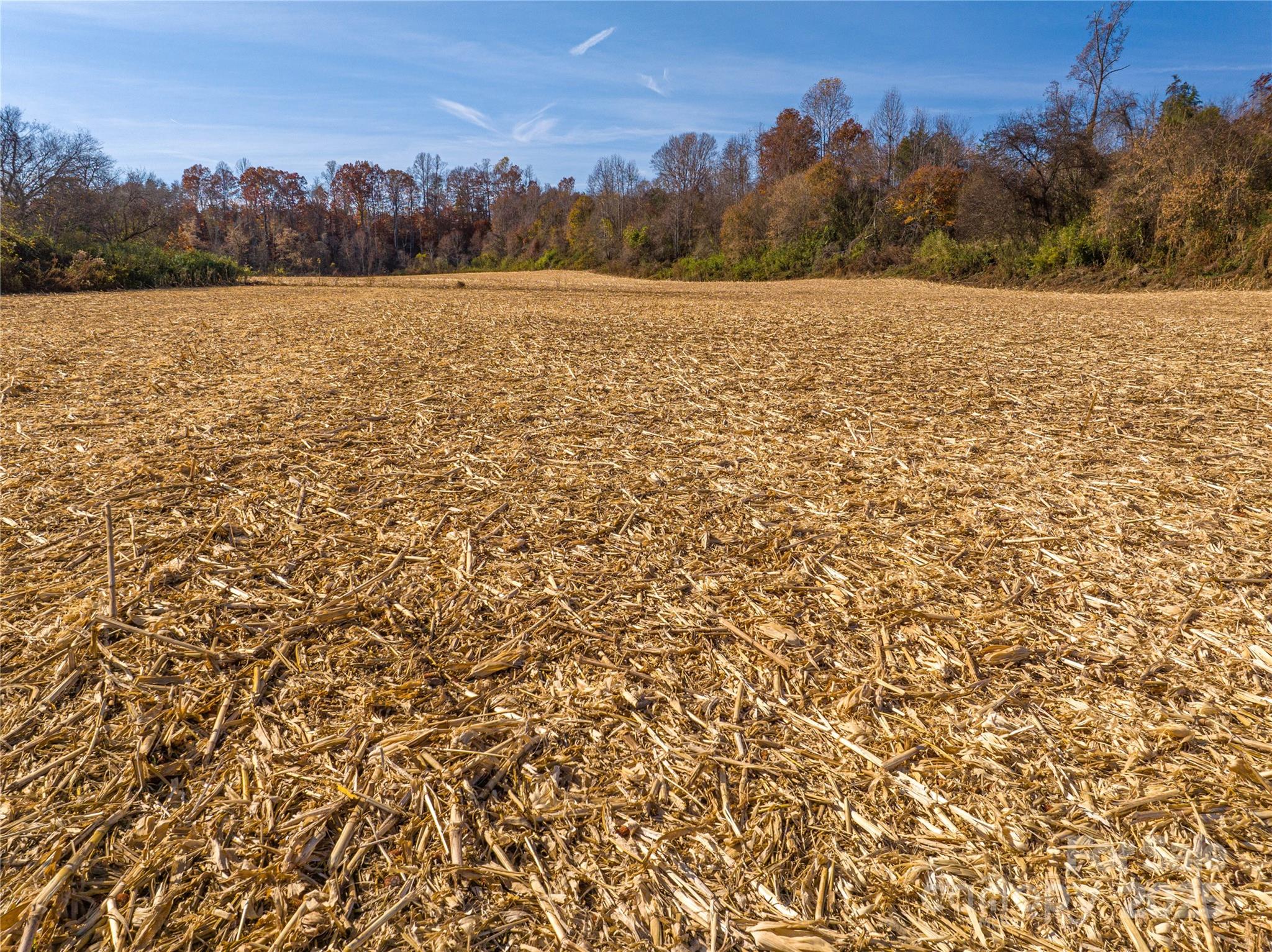 0 Rosedale Point Lincolnton, NC 28092 - Photo 33 of 40 a view of lake view and mountain view