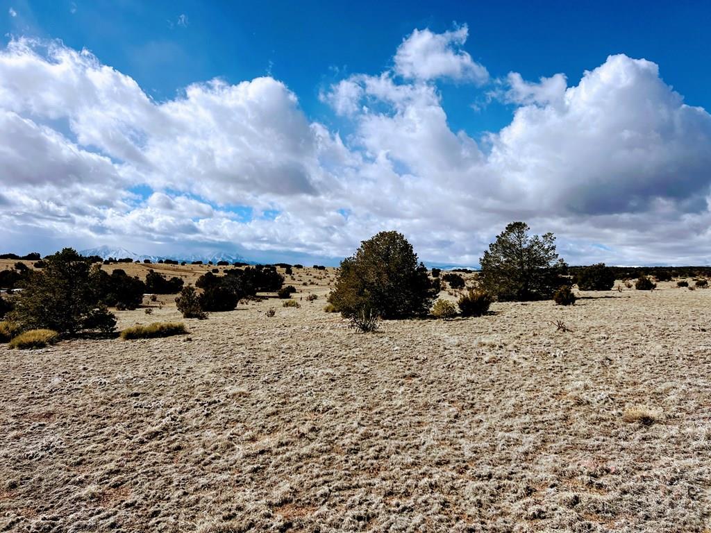 0 Twin Lakes Road Walsenburg, CO 81089 - Photo 11 of 13
