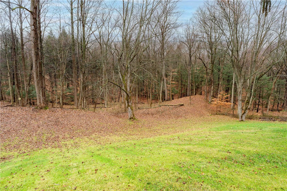 6799 Sergeant Road Sodus, NY 14551 - Photo 8 of 49