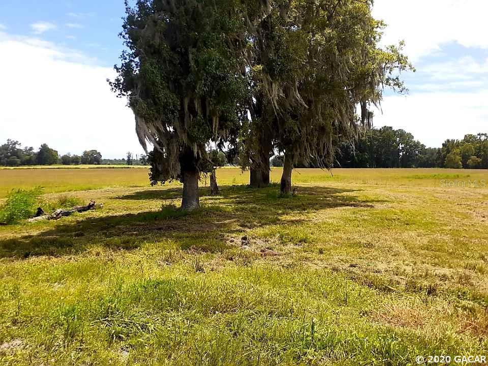 239 Northwest Rd Alachua Road Alachua, FL 32615 - Photo 1 of 1 a view of an ocean view