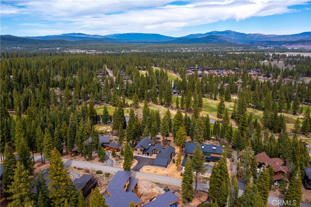 9348 Nine Bark Road Truckee, CA 96161 - Photo 49 of 58