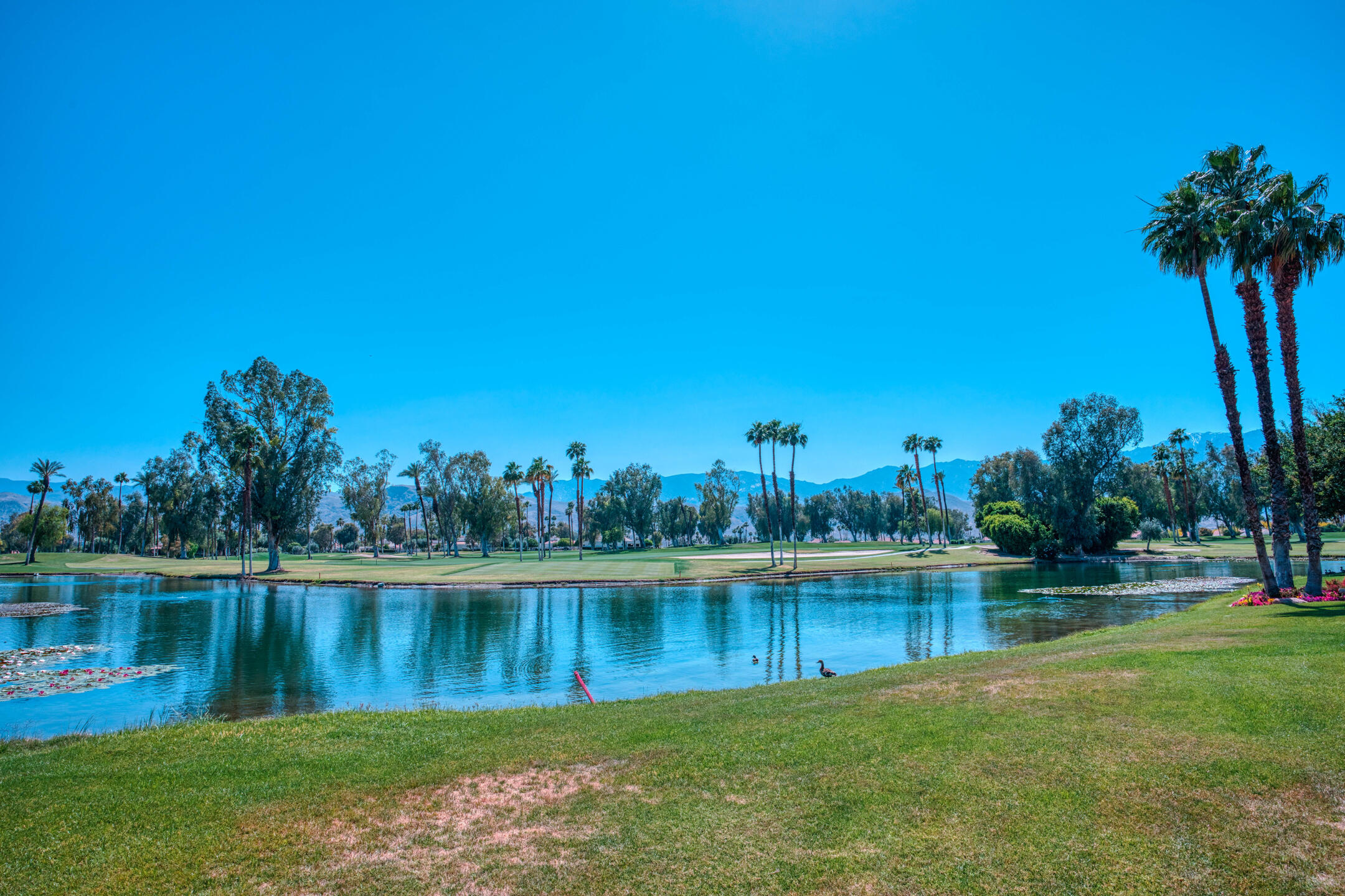 137 Racquet Club Drive South Rancho Mirage, CA 92270 - Photo 39 of 61 17